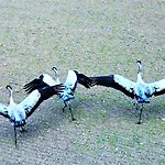 Apartamento River View - Widok Na Wodę, Parking W Hali, Winda, 3pok I 5 łóżek, Klima, Netflix I Max, Centrum Iława