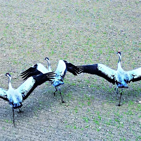 Apartmán River View - Widok Na Wode, Parking W Hali, Winda, 3pok I 5 Lozek, Klima, Netflix I Max, Centrum Iława